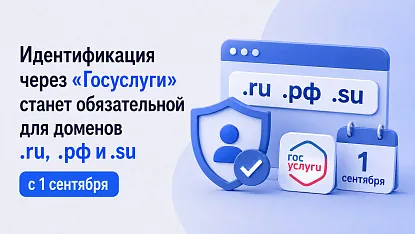 Идентификация через "Госуслуги" станет обязательной для доменов .ru, .рф и .su с 1 сентября